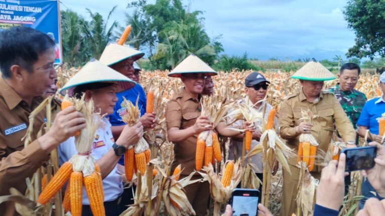 WhatsApp-Image-2025-08-11-at-20.22.03-1536x864